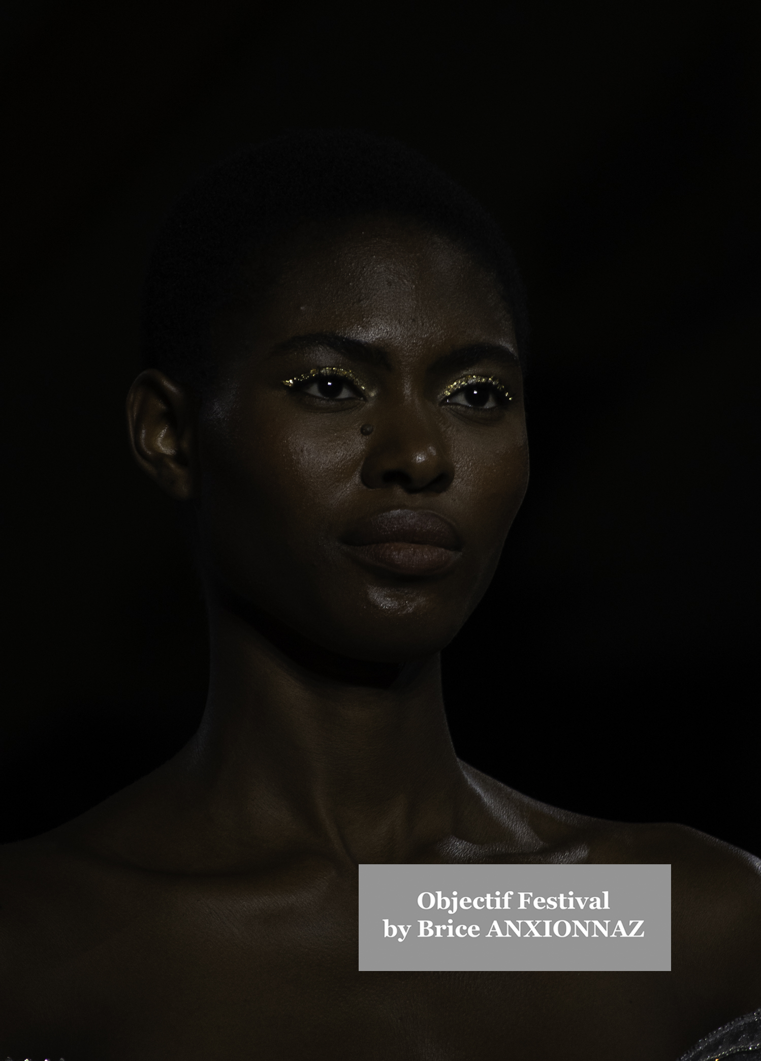 Fashion Designer Tony Ward Gallery - Show attends the Tony-Ward, France on March 3rd, 2025 - Photos by Brice ANXIONNAZ (Objectif Festival)