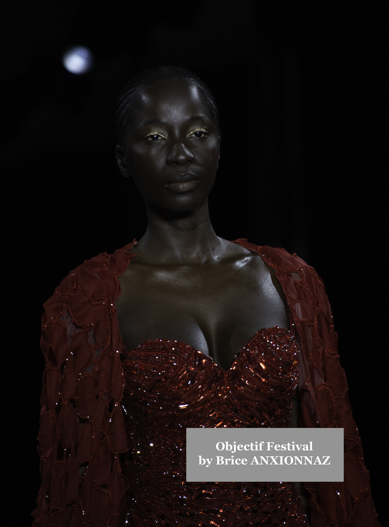 Fashion Designer Tony Ward Gallery - Show attends the Tony-Ward, France on March 3rd, 2025 - Photos by Brice ANXIONNAZ (Objectif Festival)