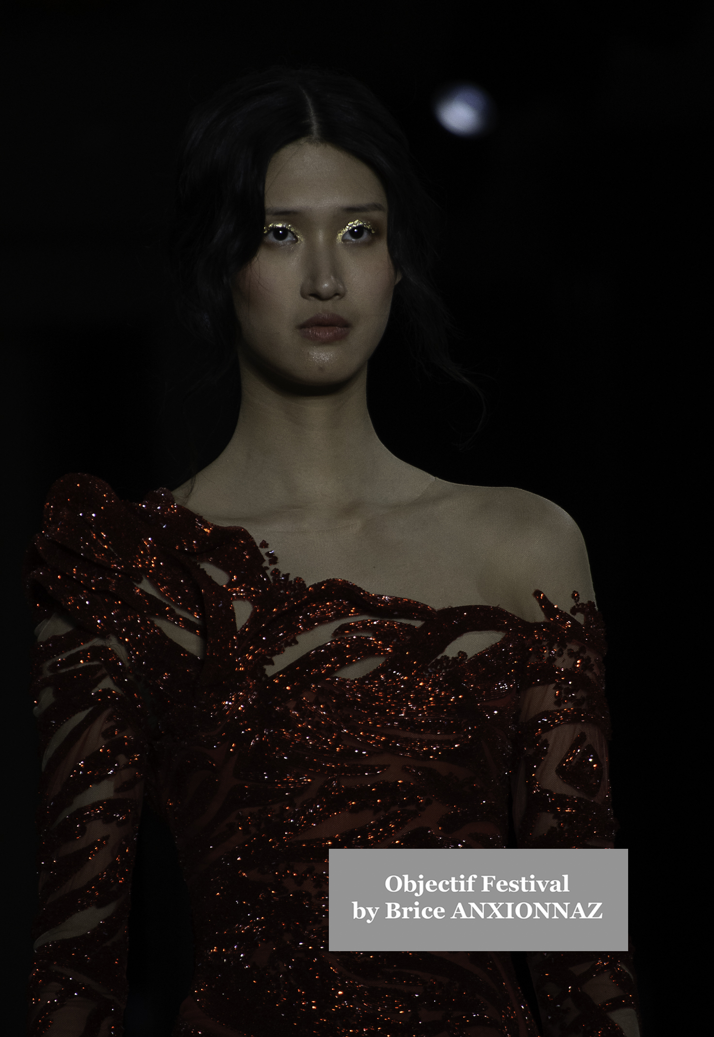 Fashion Designer Tony Ward Gallery - Show attends the Tony-Ward, France on March 3rd, 2025 - Photos by Brice ANXIONNAZ (Objectif Festival)