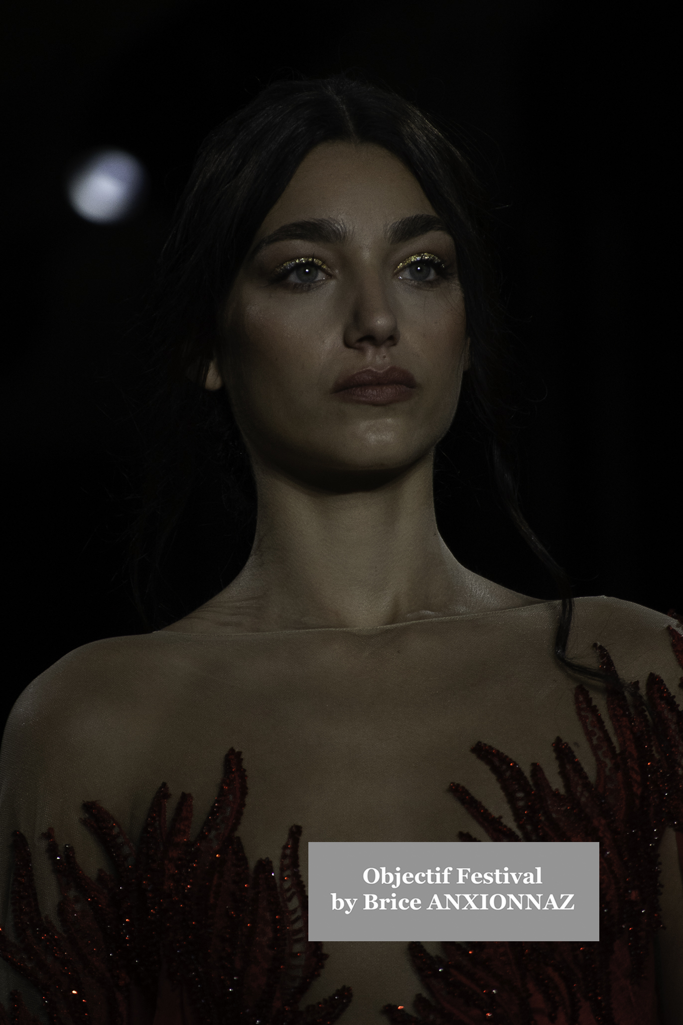 Fashion Designer Tony Ward Gallery - Show attends the Tony-Ward, France on March 3rd, 2025 - Photos by Brice ANXIONNAZ (Objectif Festival)