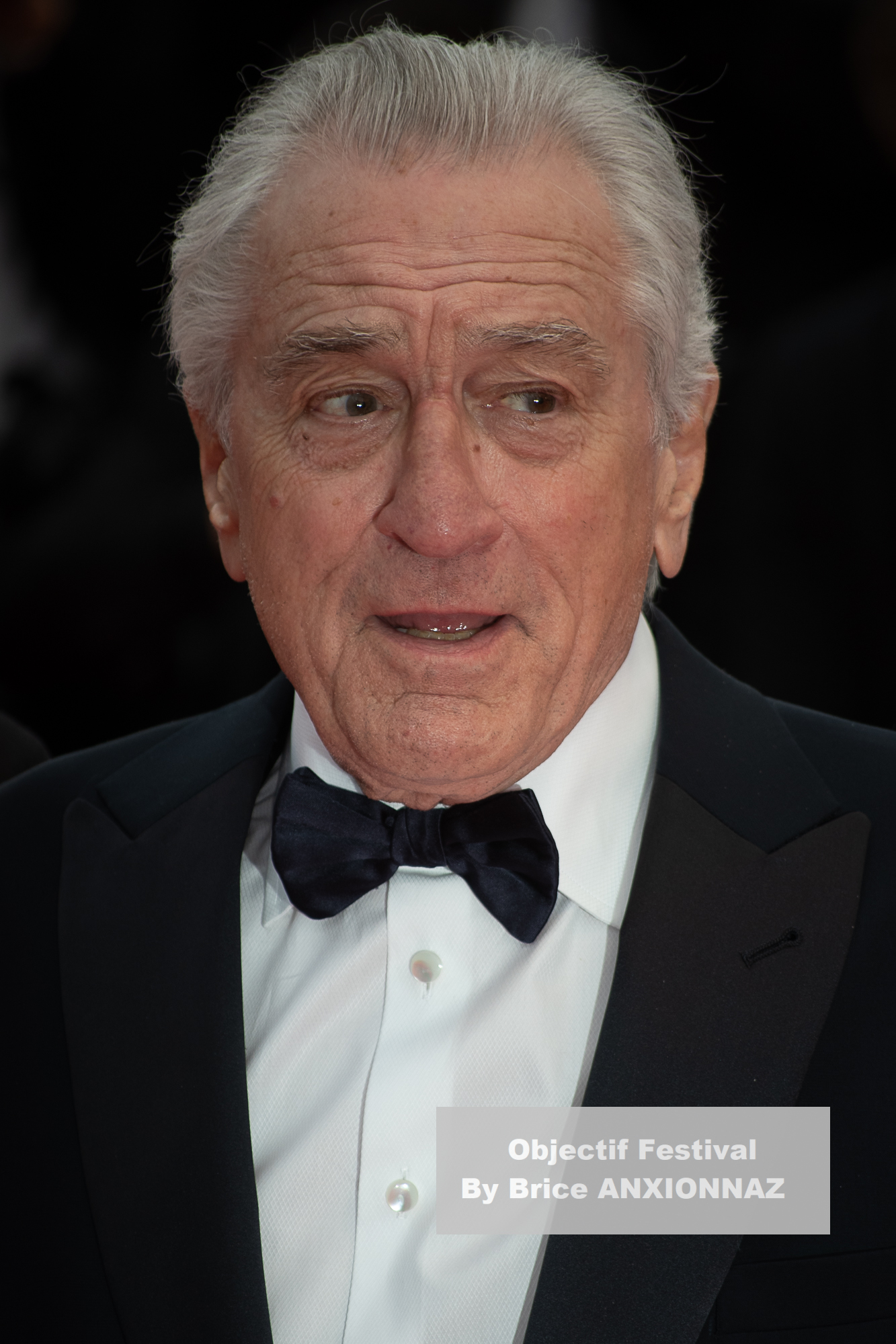 Fashion Week Robert De Niro - Fashion Week at Cannes-2025-Partir-un-jour-redcarpet, Tapis on May 13th, 2025