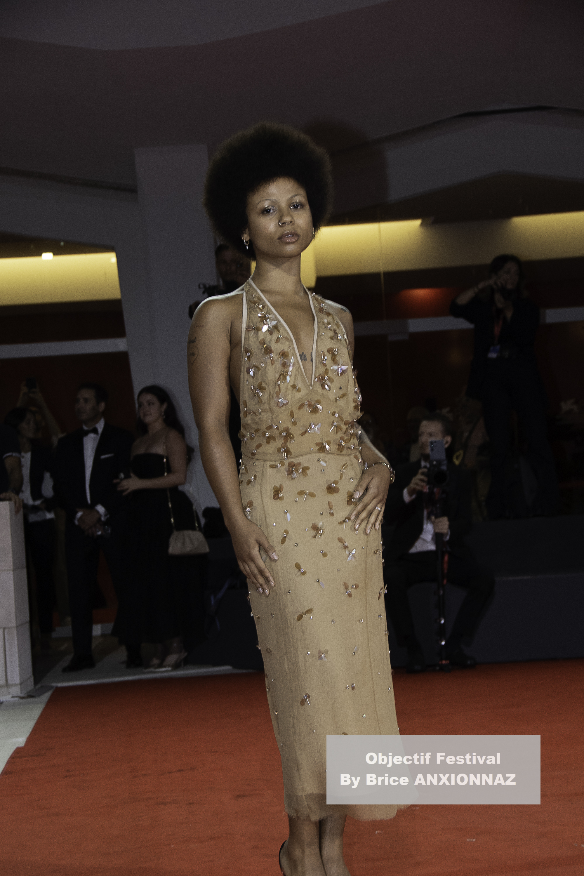 Diane Kruger - Festival image lors de Red Carpet Dead Man  039 S Wire, Lido di Venezia, Italy 2025-09-02