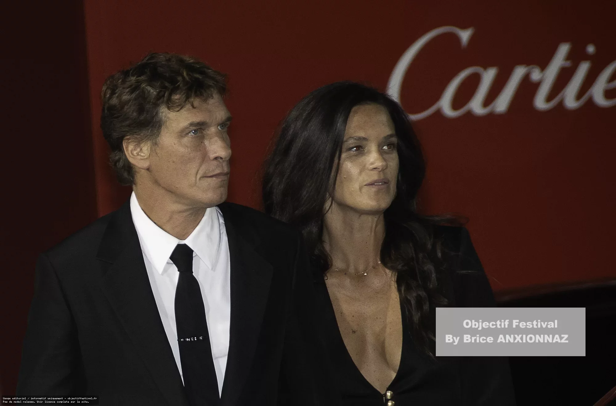 Dog 51 — 82Eme Mostra Del Cinema