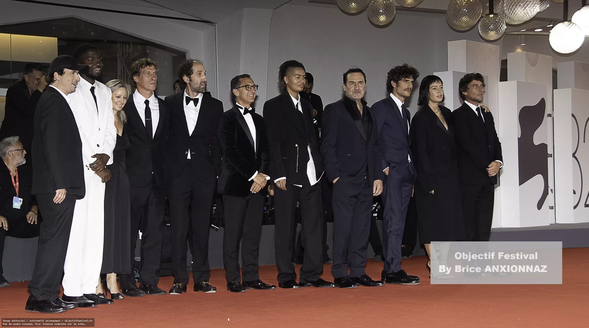 Dog 51 — 82Eme Mostra Del Cinema